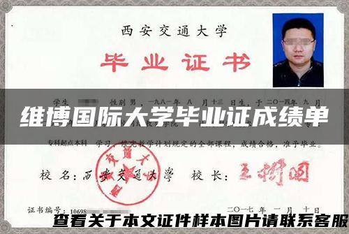 維博國際大學畢業證成績單
