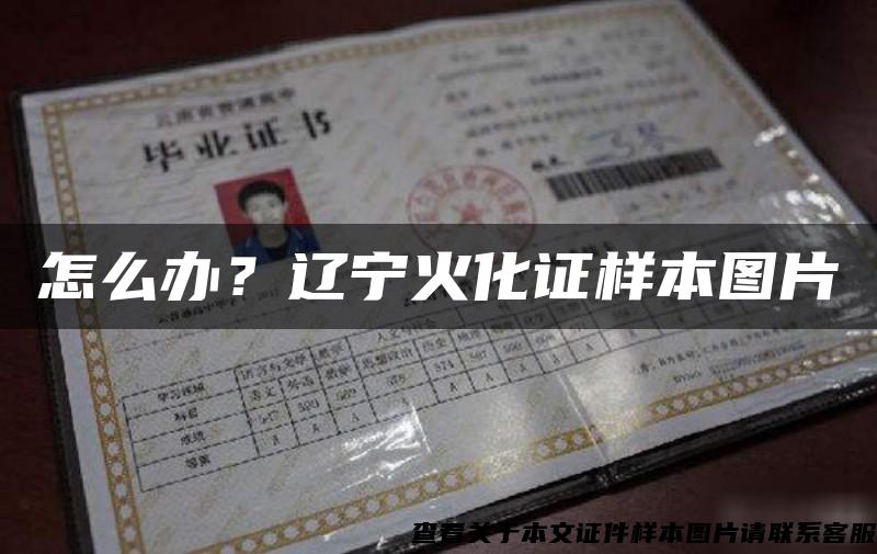 怎么辦？遼寧火化證樣本圖片