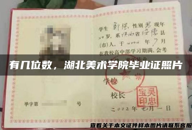 有幾位數，湖北美術學院畢業證照片