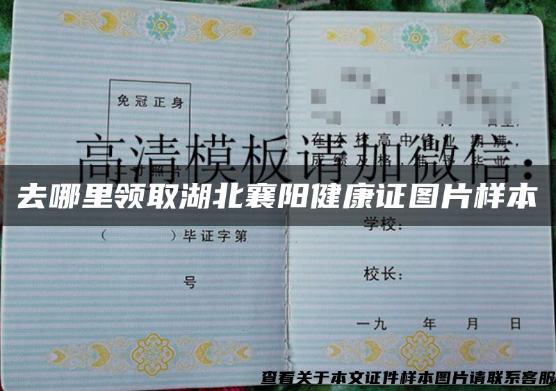 去哪里領取湖北襄陽健康證圖片樣本