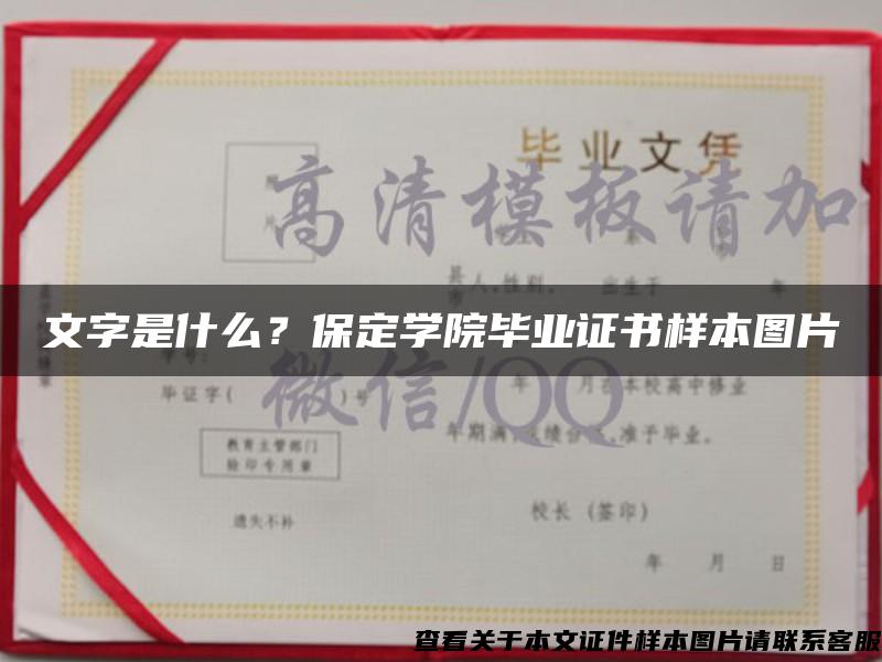 文字是什么？保定學院畢業證書樣本圖片