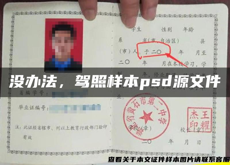 沒辦法，駕照樣本psd源文件