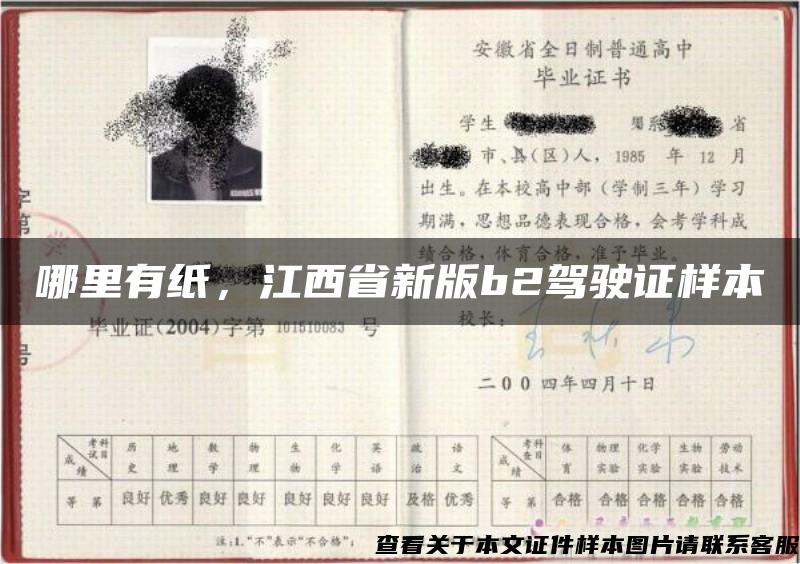 哪里有紙，江西省新版b2駕駛證樣本