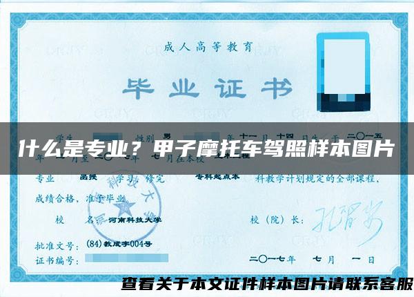 什么是專業？甲子摩托車駕照樣本圖片