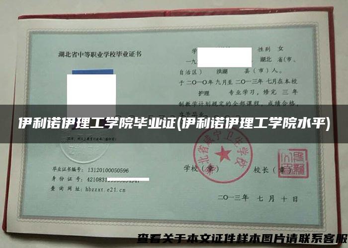 伊利諾伊理工學院畢業證(伊利諾伊理工學院水平)