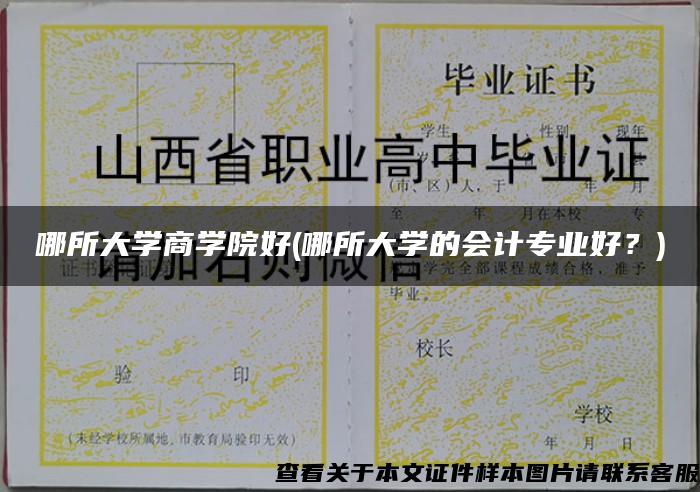 哪所大學商學院好(哪所大學的會計專業好？)