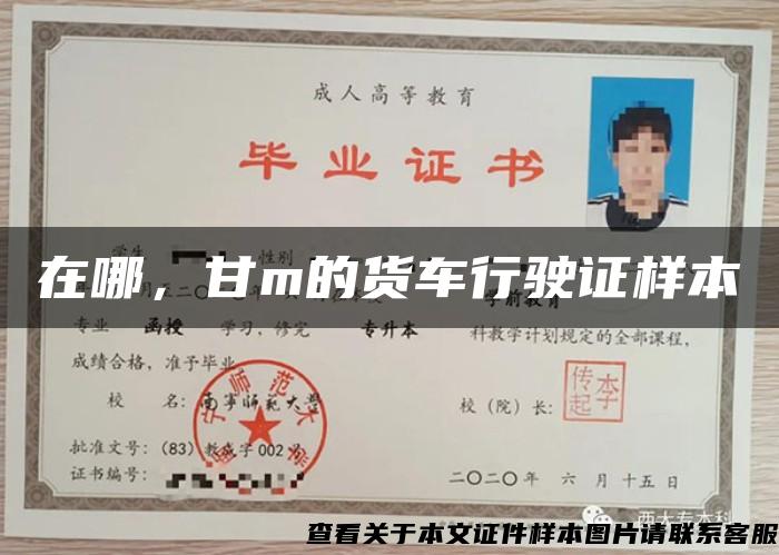在哪，甘m的貨車行駛證樣本