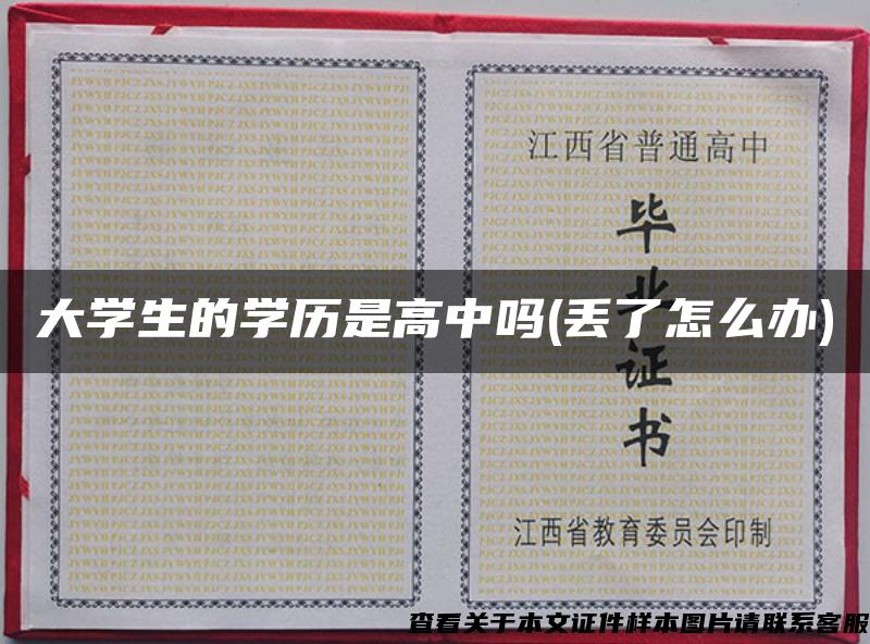 大學生的學歷是高中嗎(丟了怎么辦)