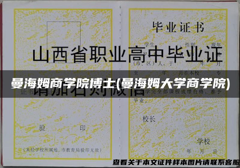曼海姆商學院博士(曼海姆大學商學院)