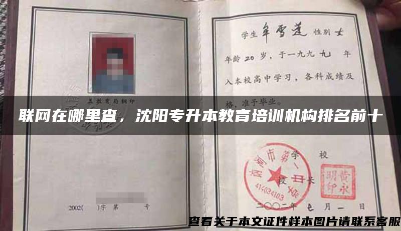 聯網在哪里查，沈陽專升本教育培訓機構排名前十