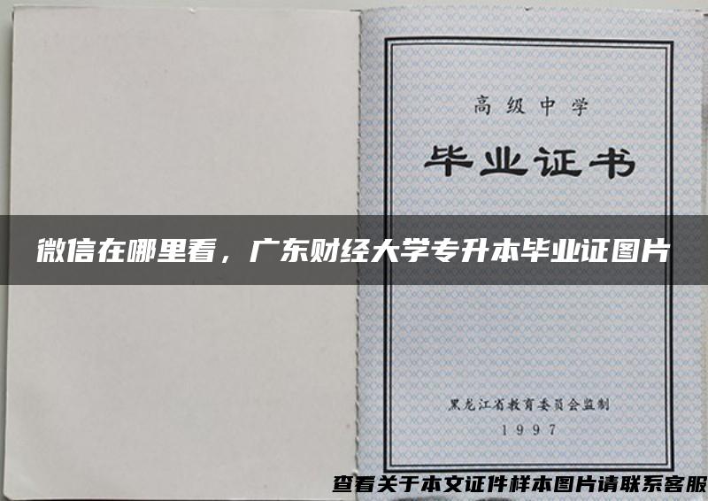 微信在哪里看，廣東財經大學專升本畢業證圖片