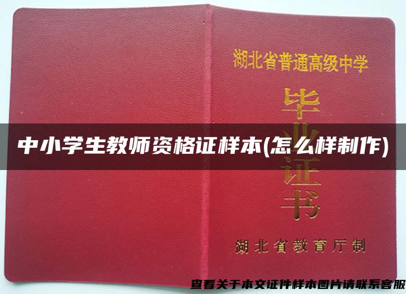 中小學生教師資格證樣本(怎么樣制作)