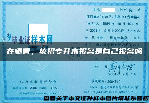 在哪看，統招專升本報名是自己報名嗎