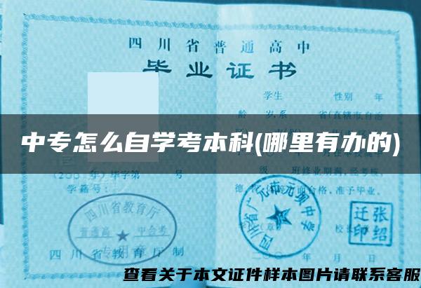 中專怎么自學考本科(哪里有辦的)