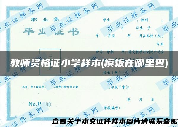 教師資格證小學樣本(模板在哪里查)
