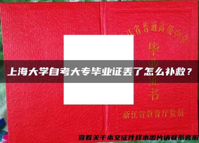 上海大學自考大專畢業證丟了怎么補救？