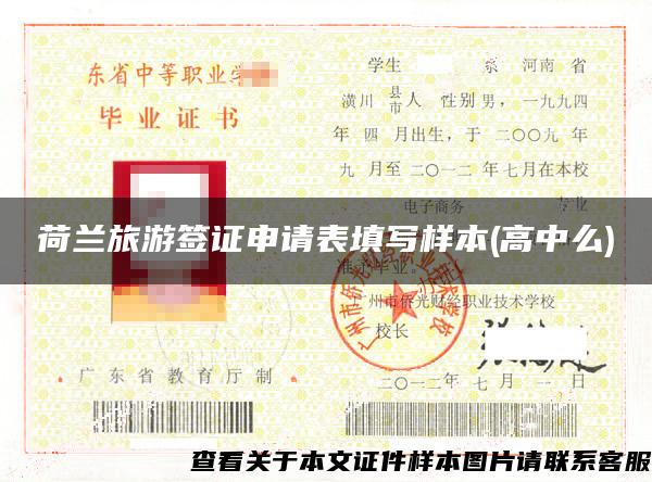 荷蘭旅游簽證申請表填寫樣本(高中么)