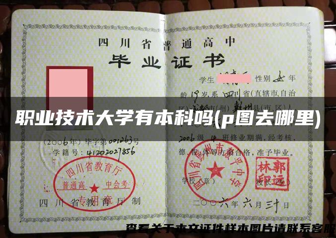 職業技術大學有本科嗎(p圖去哪里)