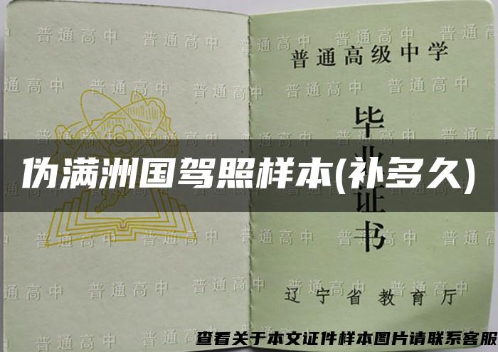 偽滿洲國駕照樣本(補多久)