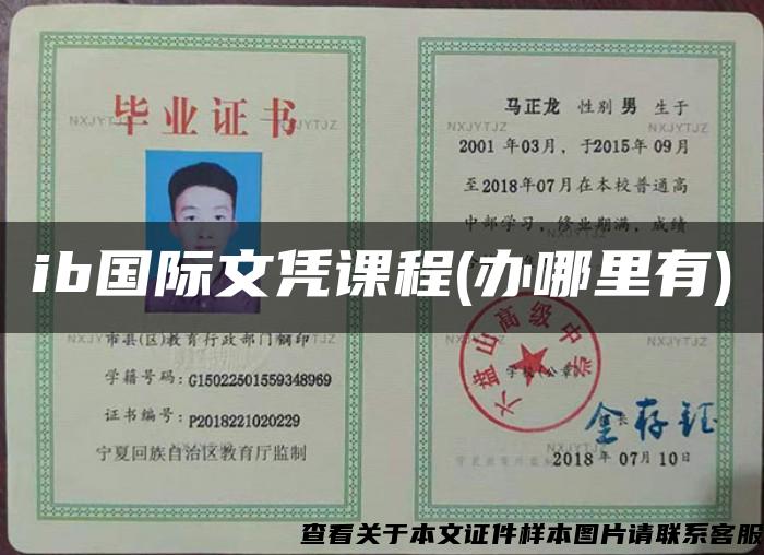 ib國際文憑課程(辦哪里有)