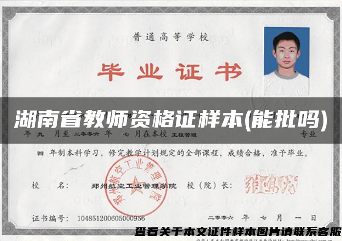 湖南省教師資格證樣本(能批嗎)