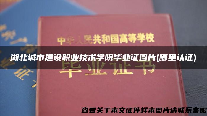 湖北城市建設職業技術學院畢業證圖片(哪里認證)