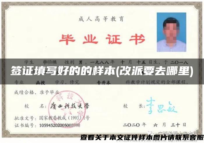 簽證填寫好的的樣本(改派要去哪里)