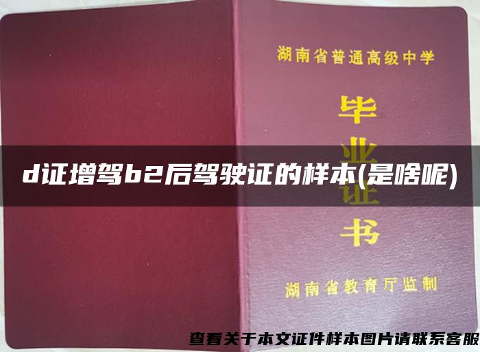 d證增駕b2后駕駛證的樣本(是啥呢)