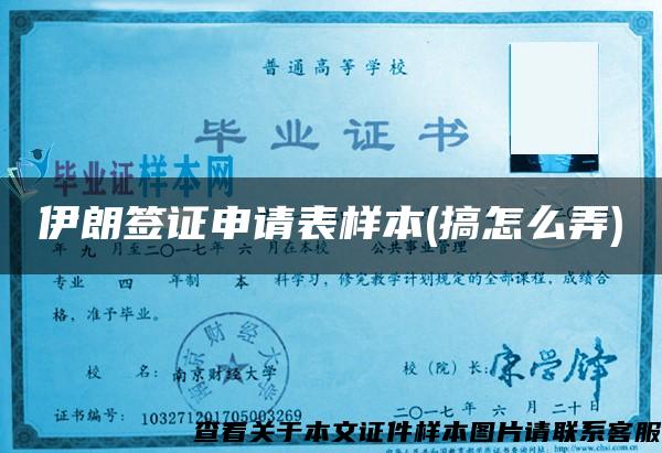 伊朗簽證申請表樣本(搞怎么弄)