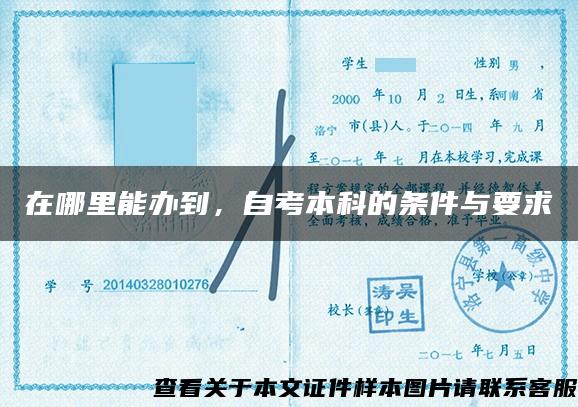 在哪里能辦到，自考本科的條件與要求