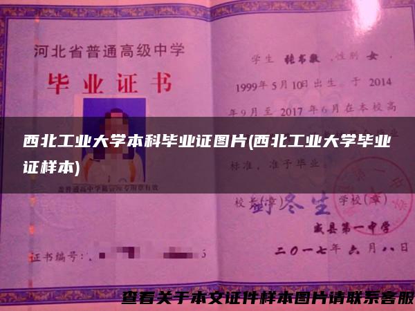 西北工業大學本科畢業證圖片(西北工業大學畢業證樣本)