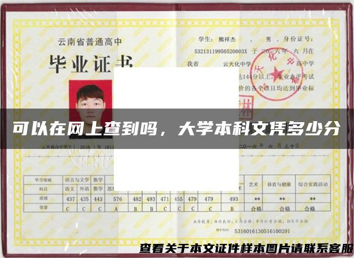 可以在網上查到嗎，大學本科文憑多少分