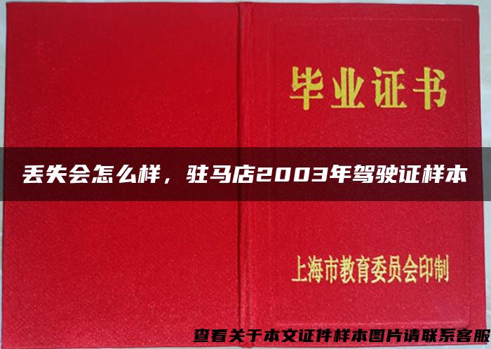 丟失會怎么樣，駐馬店2003年駕駛證樣本