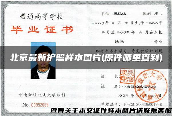 北京最新護照樣本圖片(原件哪里查到)