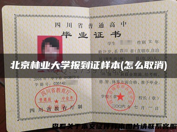 北京林業大學報到證樣本(怎么取消)