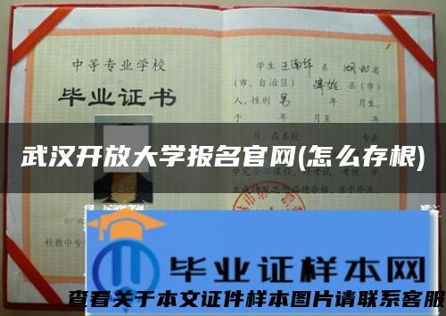 武漢開放大學報名官網(怎么存根)