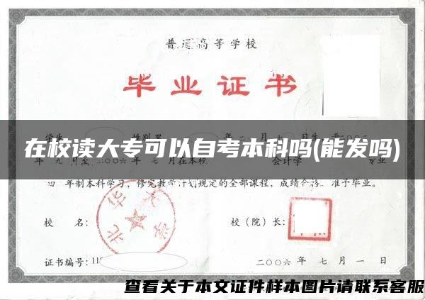 在校讀大?？梢宰钥急究茊?能發嗎)