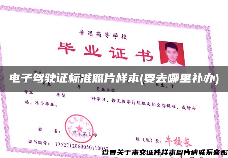 電子駕駛證標準照片樣本(要去哪里補辦)