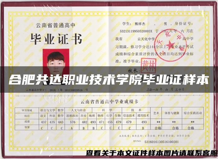 合肥共達職業技術學院畢業證樣本