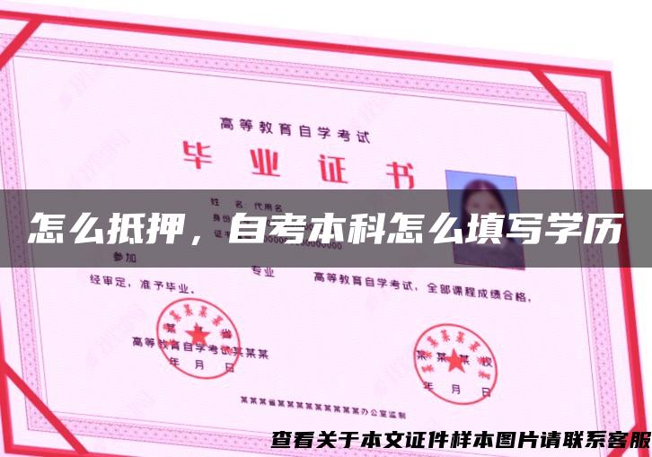 怎么抵押，自考本科怎么填寫學歷
