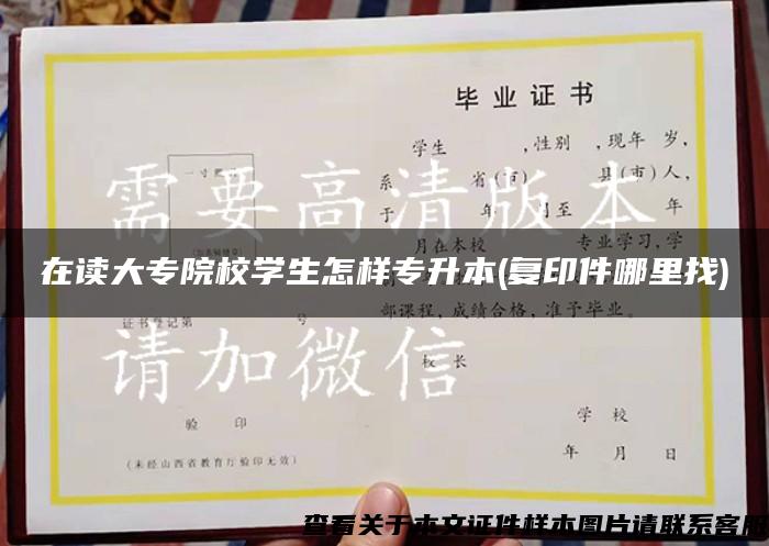 在讀大專院校學生怎樣專升本(復印件哪里找)