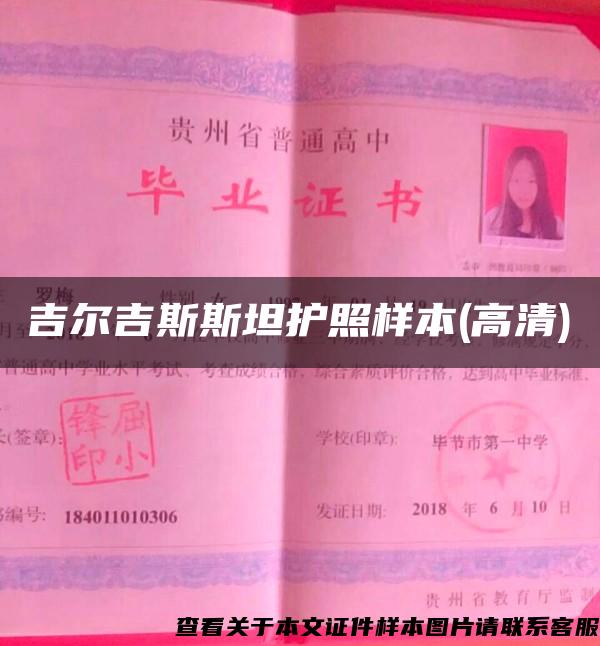 吉爾吉斯斯坦護照樣本(高清)
