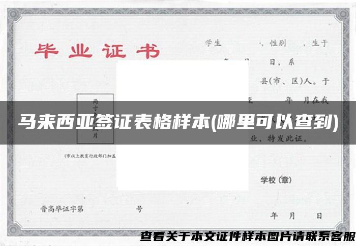 馬來西亞簽證表格樣本(哪里可以查到)