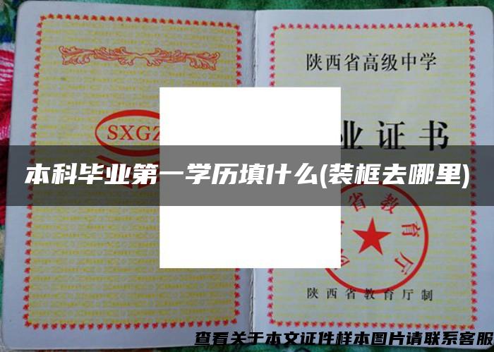 本科畢業第一學歷填什么(裝框去哪里)