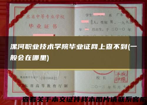漯河職業技術學院畢業證網上查不到(一般會在哪里)