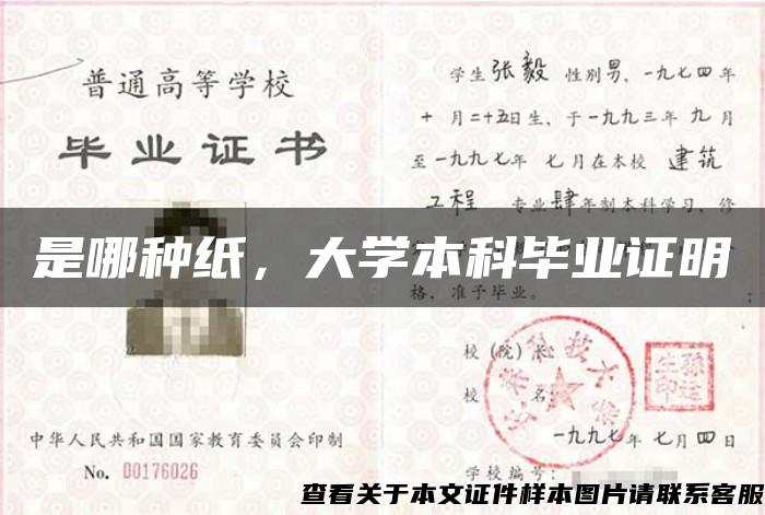 是哪種紙，大學本科畢業證明