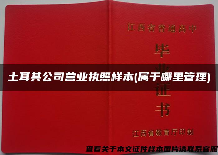 土耳其公司營業執照樣本(屬于哪里管理)