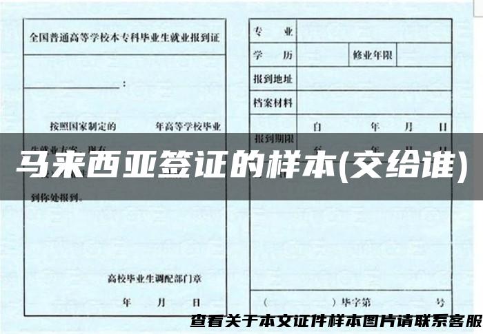 馬來西亞簽證的樣本(交給誰)
