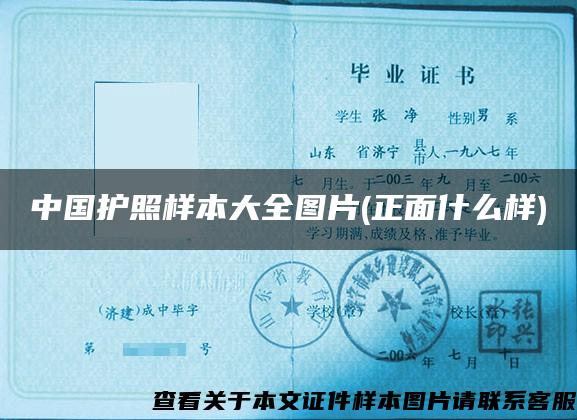 中國護照樣本大全圖片(正面什么樣)