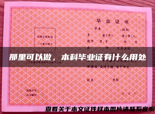 那里可以做，本科畢業證有什么用處